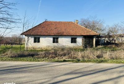 Casă cu 3 camere cu Teren 1000 Mp în Cetariu - 5