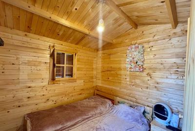 Cabane de vanzare, cu 3 camere, 50 mp, zona Brad - 3