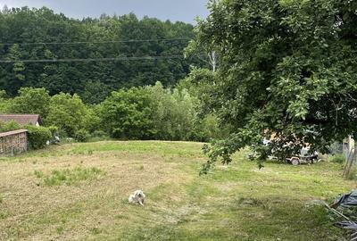 Casă cu 3 camere în Buhoci - 4