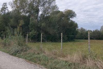 Teren de 4712 mp, în Dumbrăveni - 4
