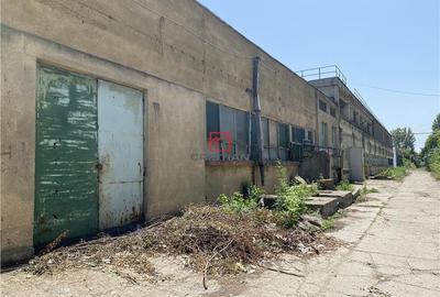 Spațiu comercial, de 15,000 mp, în Jilava - 5