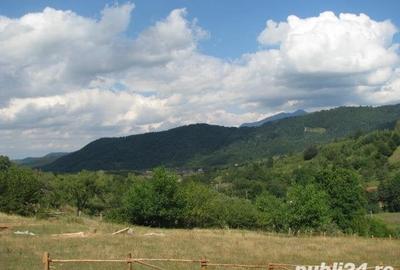Teren intravilan platou - 3