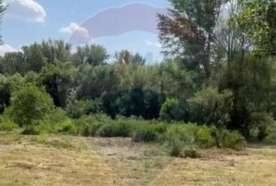 Teren de 5000 mp, în DN 2