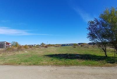 Corbeanca - Tamasi | Teren 1225mp, deschidere 44ml | Utilitati in proximitate - 8