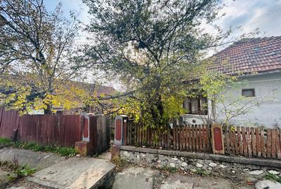 Casă cu 3 camere cu Teren 2872 Mp în Slătioara - 2