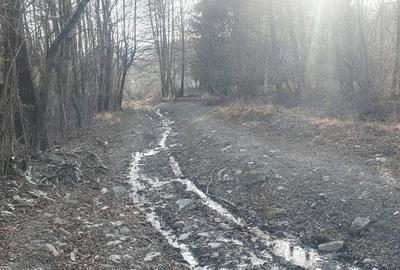 Casă cu 2 camere cu Teren 5300 Mp în Breaza - 5