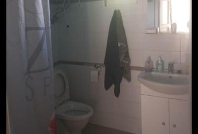 Vind Casă de Vacanță in Rusu Bârgăului la 11km de Bistrița - 2