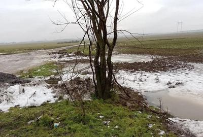 Ora? Pope?ti-Leordeni, teren, zona industriala cu utilitati - 1