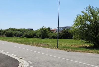 Teren agricol extravilan de 6330 mp, în Ghiroda - 5