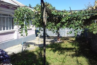 Casă cu 5 camere cu Teren 2800 Mp în Dochia - 2