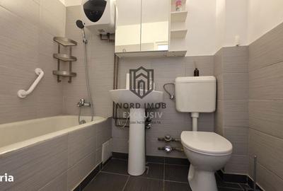 Apartament cu 3 camere semidecomandat în Vatra Luminoasă - 10