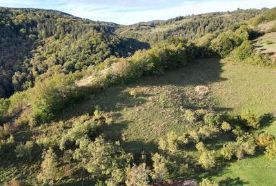 Teren intravilan de vanzare in ?uncuiu? panorama formidabila! - 4