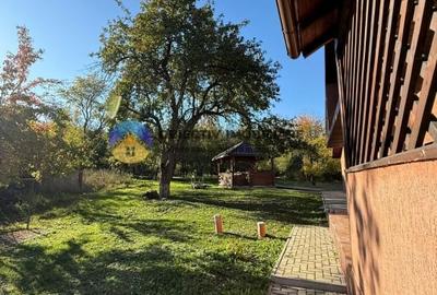 Casa + teren de vanzare - Almas - 11