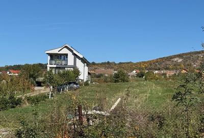 Teren Construcții intravilan de 3000 mp, în Betfia - 3