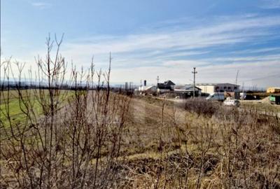 Teren intravilan 5300 mp, la DE 79, pretabil investitie in B - 1