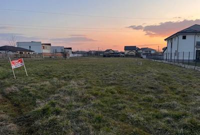 Apartament cu 3 camere decomandat în Radu Negru - 2