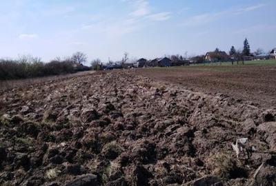 Teren de 2300 mp, în Tărtășești