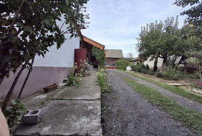 Casa de vanzare si 5 ha de pamant! - 5