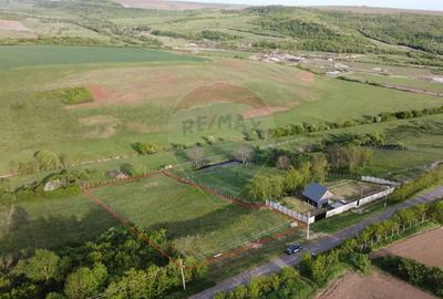 Teren Construcții intravilan de 3916 mp, în Herneacova - 3
