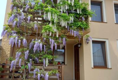 Casă cu 4 camere în Ultracentral - 5