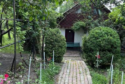 Casă cu 4 camere cu Teren 9800 Mp în Măgura - 9