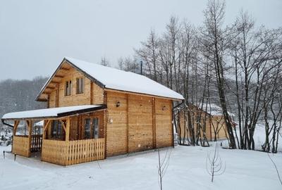 Proprietate specială, de 84 mp, în Dumbrăvița - 2