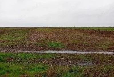 Teren extravilan Mogosani, ID: R2868327 - 5