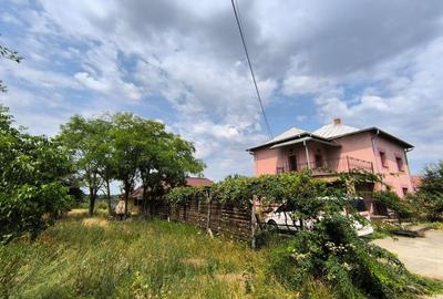 Case Parvu Rosu -Costesti la 13 km de Pitesti - 2