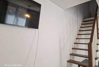 Casă cu 1 camere cu Teren 350 Mp în Dumbrăvița - 8