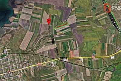 COMISION 0% Teren extravilan agricol, Sacalaz - 20.000 mp COMISION 0% Teren extravilan agricol, Sacalaz - 20.000 mp - 2