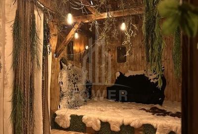 Oportunitate de investiție-Parc distracții de vânzare| Valea Avrigului - 7