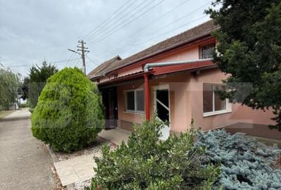 Ferma de Vanzare in judetul Timis, la nord est de Timisoara, - 19