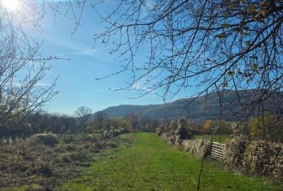 Teren intravilan in Buzau, sat Tega, 3300 mp - 7