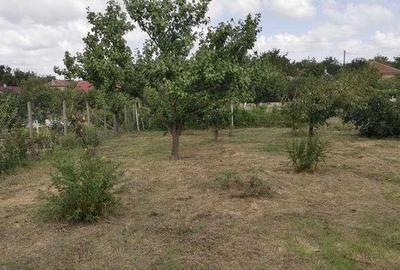 Teren de 800 mp, în Central - 3