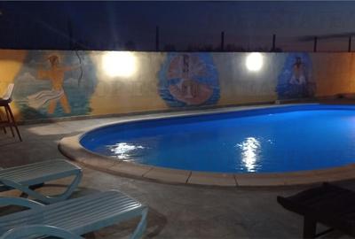 VILA CU PISCINA COSTINESTI - 15