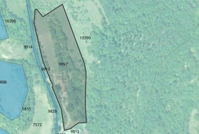 Casă individuală cu 4 camere cu Teren 12000 Mp în Rapoltu Mare - 9