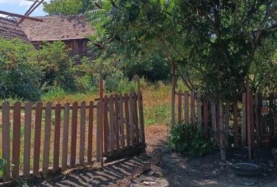 Casă individuală cu 4 camere cu Teren 2000 Mp în Alțina - 11
