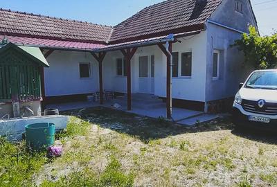 Casă cu 6 camere cu Teren 2135 Mp în Ilteu - 9