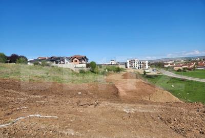 Teren de 5600 mp, în Cetate - 2