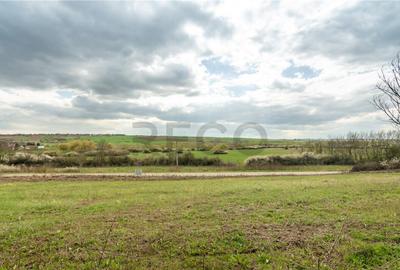 Teren intravilan Cetariu - 7