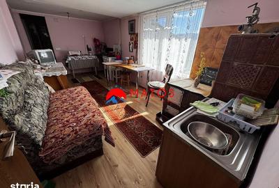 Casă cu 3 camere cu Teren 3025 Mp în Ghioșești - 7