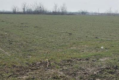 Teren de 9000 mp, în Central - 7