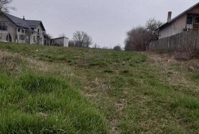 Teren în Dărmănești - 5