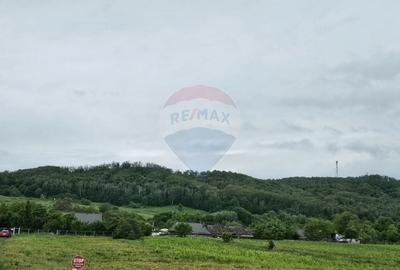 Teren Construcții intravilan de 1495 mp, în Dobreni - 5