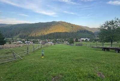 Teren de Vânzare în Bucovina ! OPORTUNITATE - 2