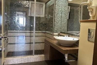 Apartament 3 camere zona Piata Alba Iulia - 9