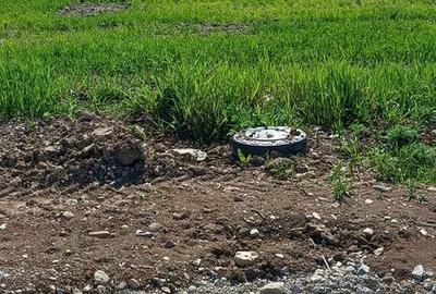 Teren de 800 mp, în Oșorhei - 3