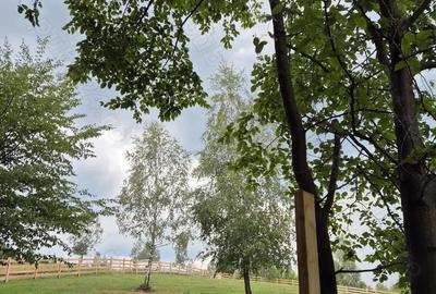 Teren extravilan 13.800 mp Ra?nov, Glajarie priveli?te superba, oportunitate de investi?ie Teren extravilan 13.800 mp Ra?nov, Glajarie priveli?te superba, oportunitate de investi?ie - 8