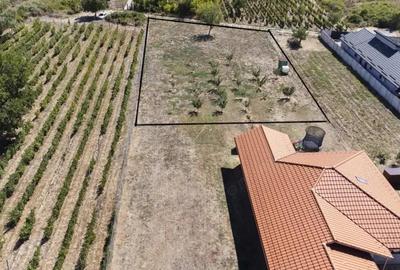 Oportunitate dezvoltare rezidentiala teren 2000 mp intravilan - 3