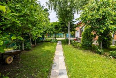 Vila 6 camere, de vanzare, Snagov Vila 6 camere, de vanzare, Snagov - 4